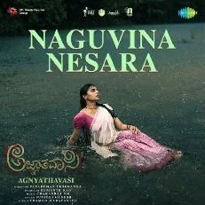 Agnyathavasi